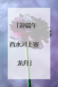 迎端午 酉水河上赛龙舟