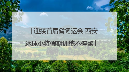 迎接首届省冬运会 西安冰球小将假期训练不停歇