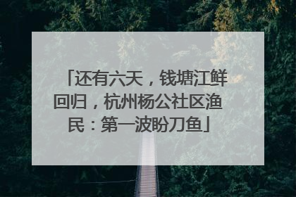 还有六天，钱塘江鲜回归，杭州杨公社区渔民：第一波盼刀鱼