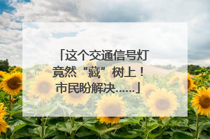 这个交通信号灯竟然“藏”树上！市民盼解决……