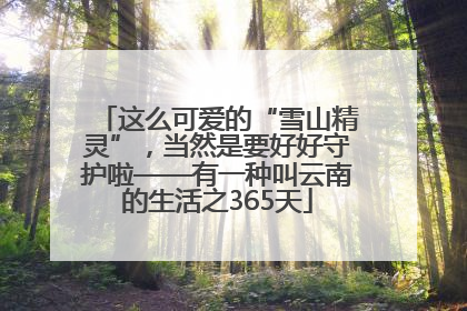 这么可爱的“雪山精灵”，当然是要好好守护啦——有一种叫云南的生活之365天