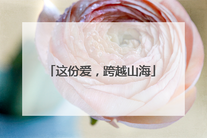 这份爱，跨越山海