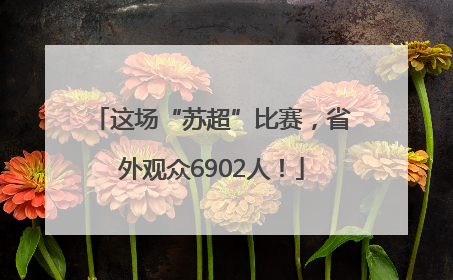 这场“苏超”比赛，省外观众6902人！