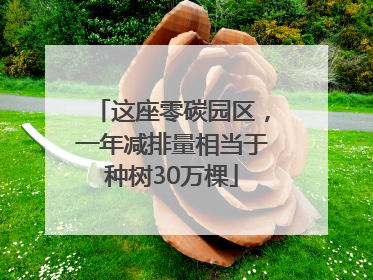 这座零碳园区，一年减排量相当于种树30万棵