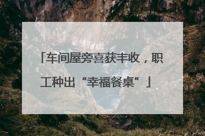 车间屋旁喜获丰收，职工种出“幸福餐桌”