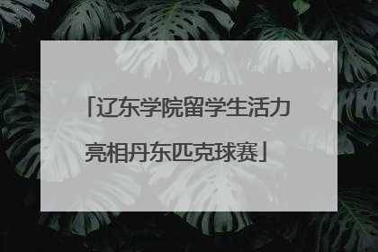 辽东学院留学生活力亮相丹东匹克球赛