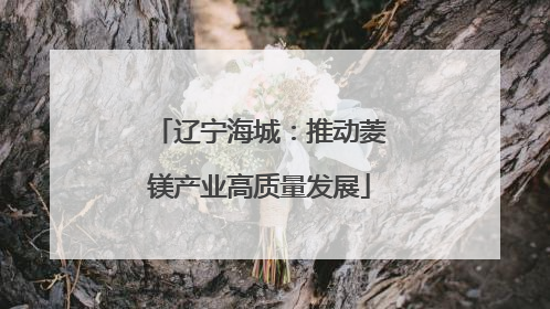 辽宁海城：推动菱镁产业高质量发展