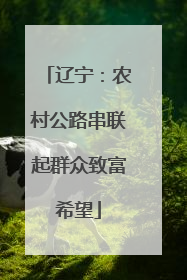 辽宁：农村公路串联起群众致富希望