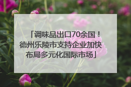 调味品出口70余国！德州乐陵市支持企业加快布局多元化国际市场