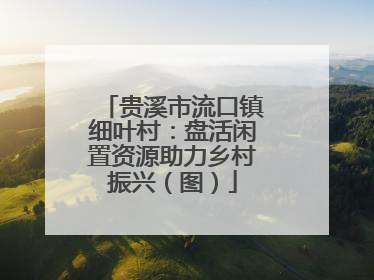 贵溪市流口镇细叶村：盘活闲置资源助力乡村振兴（图）