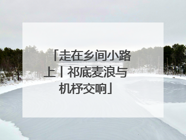 走在乡间小路上丨祁底麦浪与机杼交响
