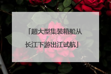 超大型集装箱船从长江下游出江试航