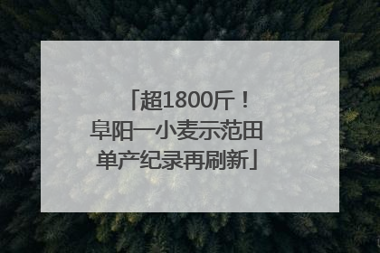 超1800斤！阜阳一小麦示范田单产纪录再刷新
