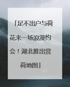 足不出户与荷花来一场浪漫约会！湖北推出赏荷地图