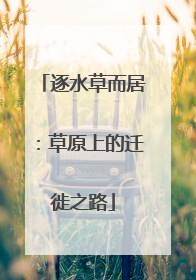 逐水草而居：草原上的迁徙之路