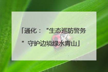 通化：“生态巡防警务”守护边境绿水青山