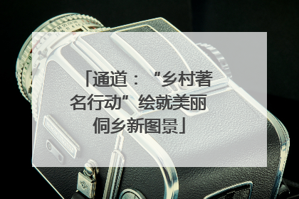 通道：“乡村著名行动”绘就美丽侗乡新图景