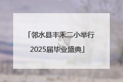 邻水县丰禾二小举行2025届毕业盛典