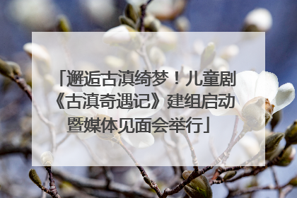 邂逅古滇绮梦！儿童剧《古滇奇遇记》建组启动暨媒体见面会举行