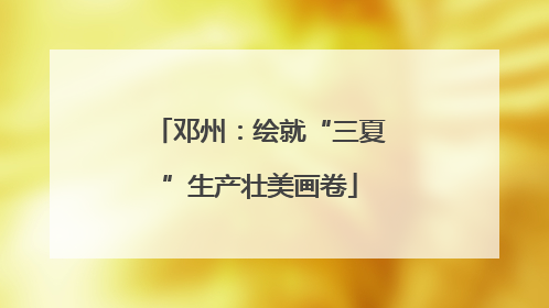 邓州：绘就“三夏”生产壮美画卷