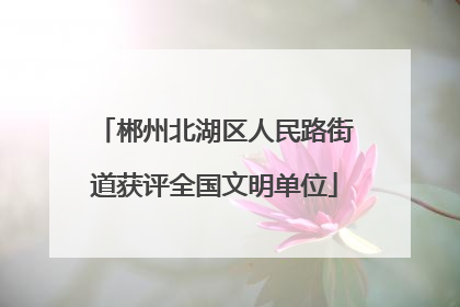 郴州北湖区人民路街道获评全国文明单位