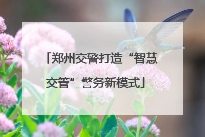 郑州交警打造“智慧交管”警务新模式