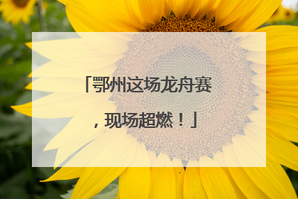 鄂州这场龙舟赛，现场超燃！