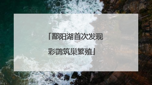 鄱阳湖首次发现彩鹮筑巢繁殖