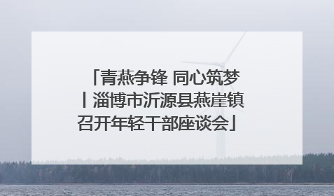 青燕争锋 同心筑梦丨淄博市沂源县燕崖镇召开年轻干部座谈会