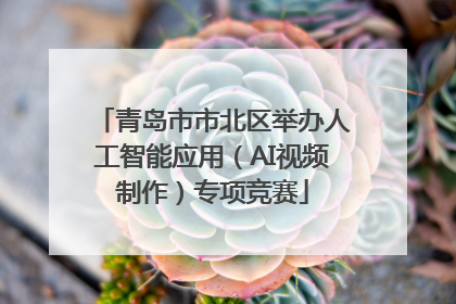 青岛市市北区举办人工智能应用（AI视频制作）专项竞赛