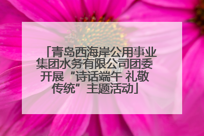 青岛西海岸公用事业集团水务有限公司团委开展“诗话端午 礼敬传统”主题活动