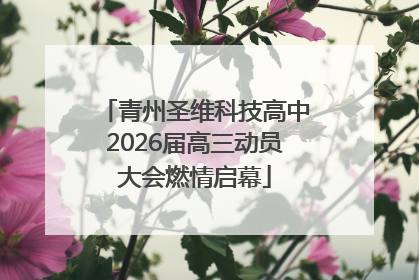 青州圣维科技高中2026届高三动员大会燃情启幕
