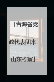 青海省党政代表团来山东考察