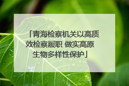 青海检察机关以高质效检察履职 做实高原生物多样性保护
