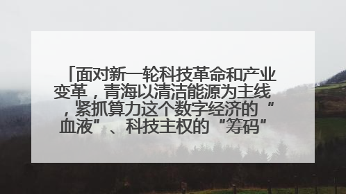 面对新一轮科技革命和产业变革，青海以清洁能源为主线，紧抓算力这个数字经济的“血液”、科技主权的“筹码”、产业升级的“杠杆”、绿色转型的“支点”，勇于撬动国家“双碳”战略、“东数西算”工程重大发展新机遇
