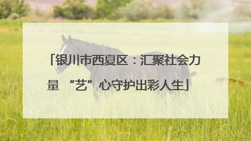 银川市西夏区：汇聚社会力量 “艺”心守护出彩人生