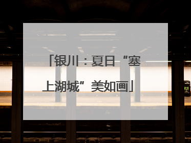 银川：夏日“塞上湖城”美如画