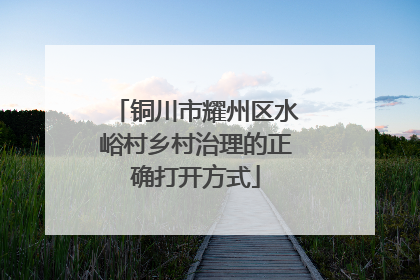 铜川市耀州区水峪村乡村治理的正确打开方式