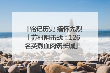 铭记历史 缅怀先烈丨苏村阻击战：126名英烈血肉筑长城