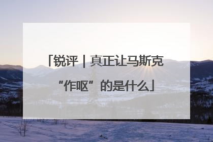 锐评｜真正让马斯克“作呕”的是什么