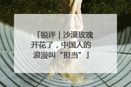 锐评｜沙漠玫瑰开花了，中国人的浪漫叫“担当”
