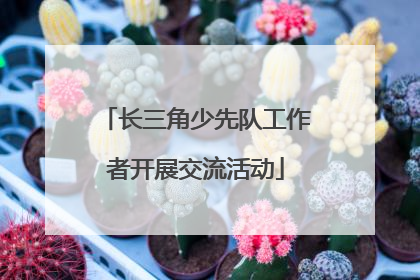 长三角少先队工作者开展交流活动