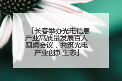 长春举办光电信息产业高质量发展百人圆桌会议，共筑光电产业创新生态