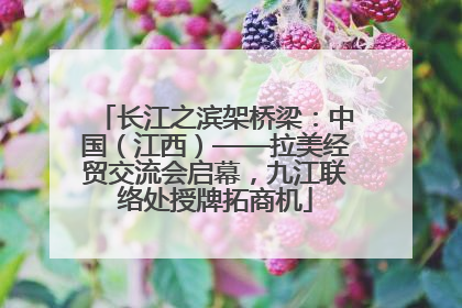 长江之滨架桥梁：中国（江西）——拉美经贸交流会启幕，九江联络处授牌拓商机