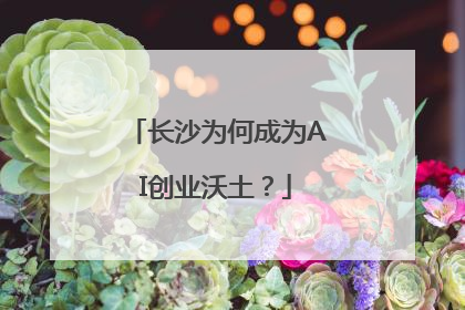 长沙为何成为AI创业沃土？
