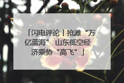 闪电评论丨抢滩“万亿蓝海” 山东低空经济乘势“高飞”