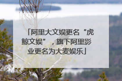 阿里大文娱更名“虎鲸文娱”，旗下阿里影业更名为大麦娱乐