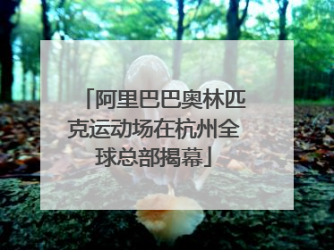 阿里巴巴奥林匹克运动场在杭州全球总部揭幕