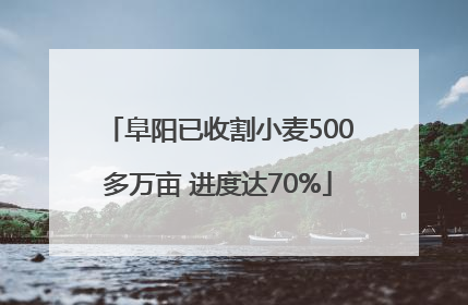 阜阳已收割小麦500多万亩 进度达70%