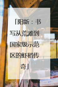 阳新：书写从荒滩到国家级示范区的虾稻传奇